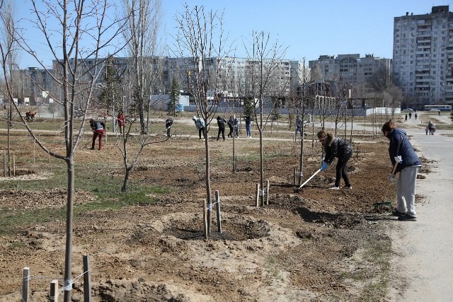 В Волгограде начался месяц благоустройства общественных пространств